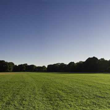 Sunlight bursting over the baseball diamonds and tree lined avenues of The Great Lawn in Central Park, Manhattan under a deep clear blue sky. ProPhoto RGB profile for maximum color fidelity and gamut.