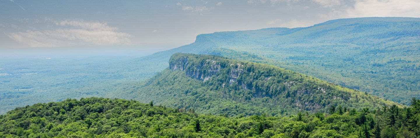 NEW PALTZ