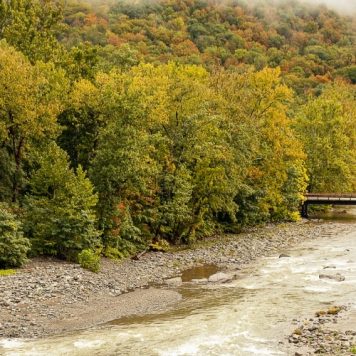 Esopus Creek in Autumn